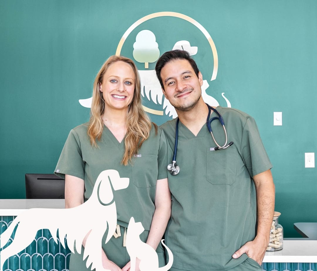 schedule your pet care services at Parkside Pet Hospital in Vestavia Hills AL
