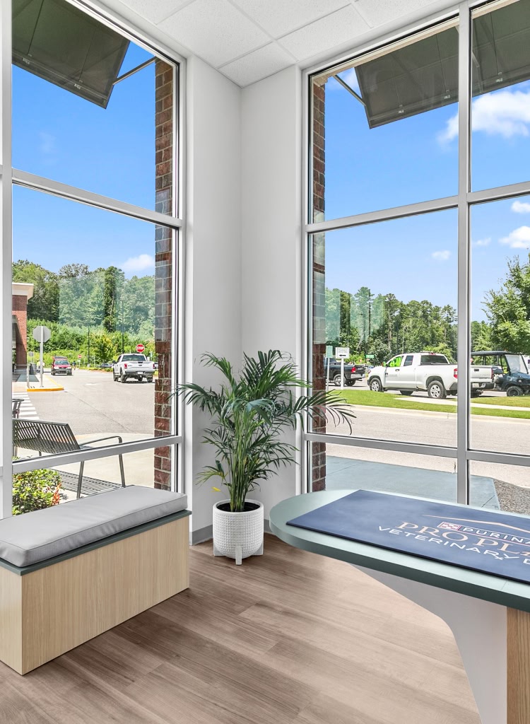 veterinary services at Parkside Pet Hospital in Vestavia Hills AL