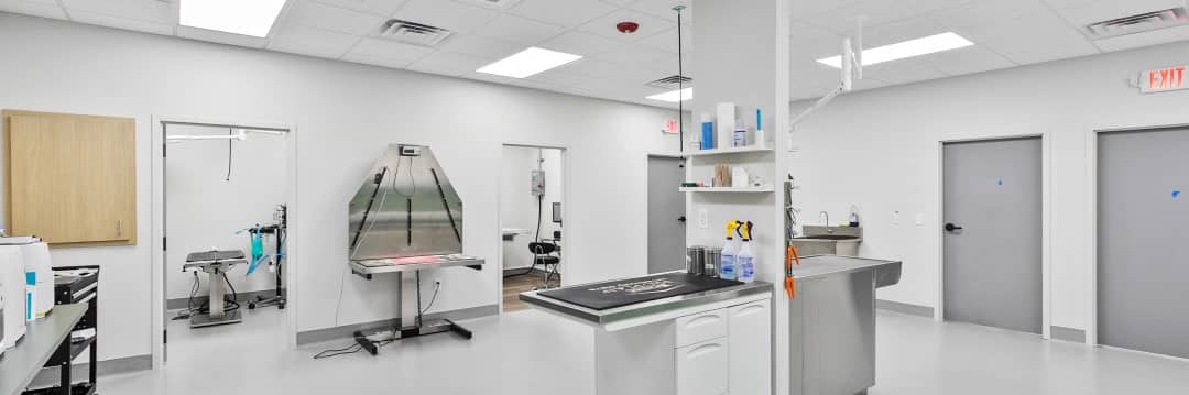 advanced pet health services at Parkside Pet Hospital in Vestavia Hills AL