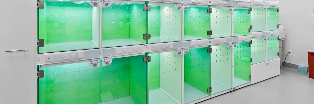 advanced pet care services at Parkside Pet Hospital in Vestavia Hills AL