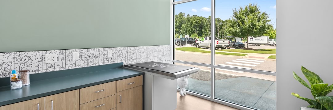 advanced animal care services at Parkside Pet Hospital in Vestavia Hills AL