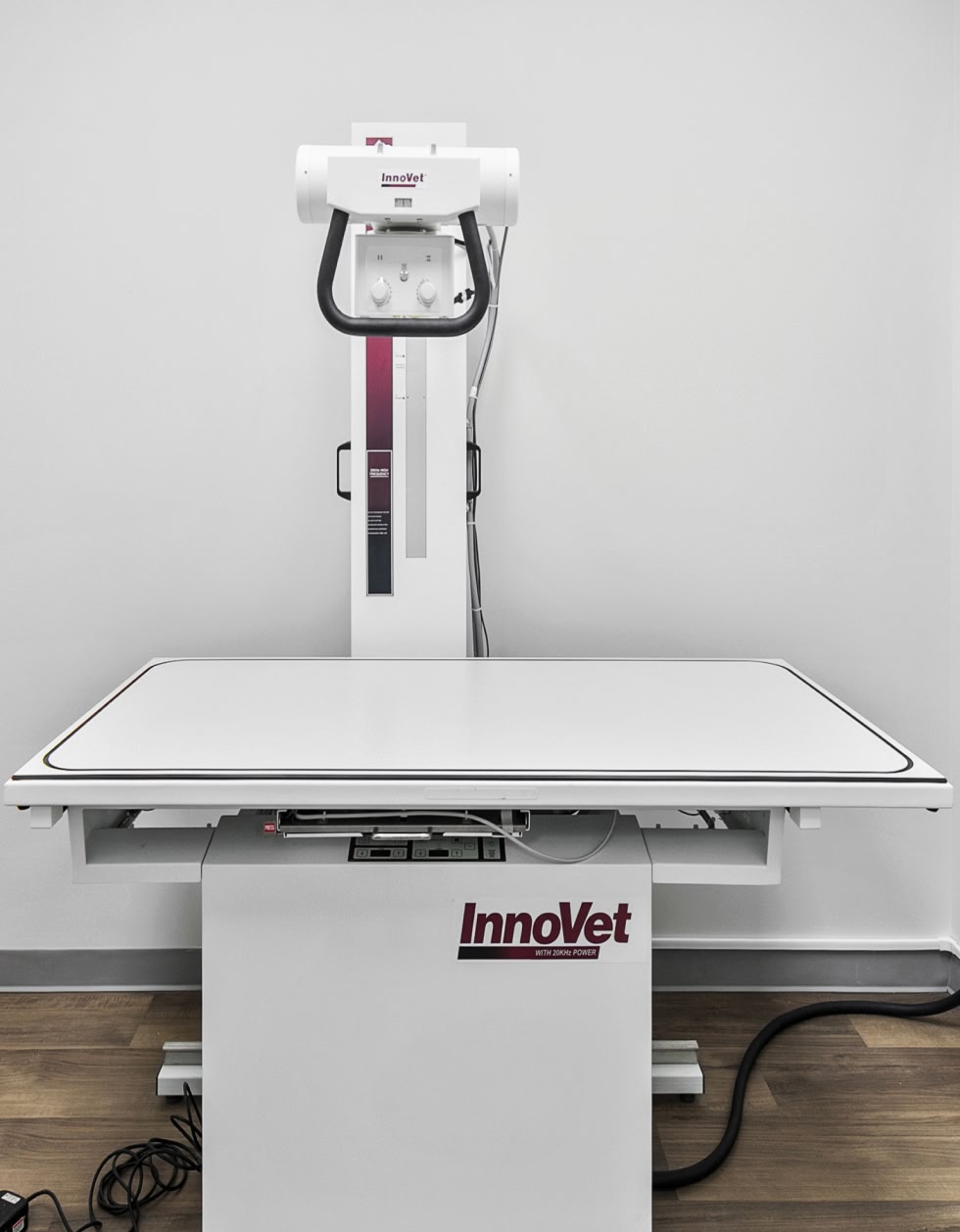 care for your pet with excellent pet care services at Parkside Pet Hospital in Vestavia Hills AL