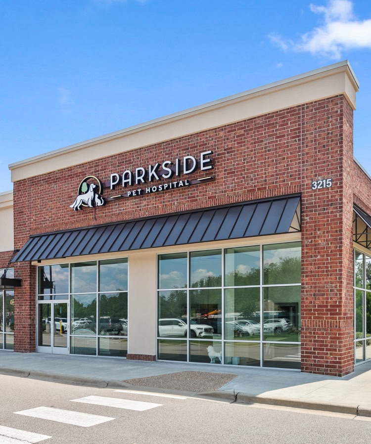 care for your cat with excellent veterinary treatments at Parkside Pet Hospital in Vestavia Hills AL