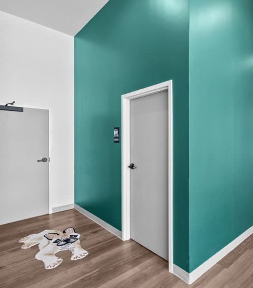 veterinary care services at Parkside Pet Hospital in Vestavia Hills AL