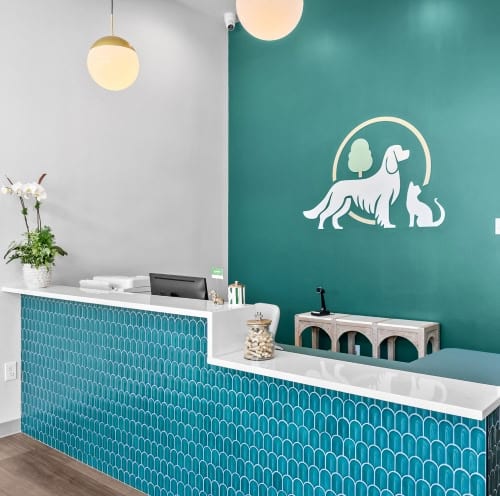 treat your pet with excellent animal care treatments at Parkside Pet Hospital in Vestavia Hills AL