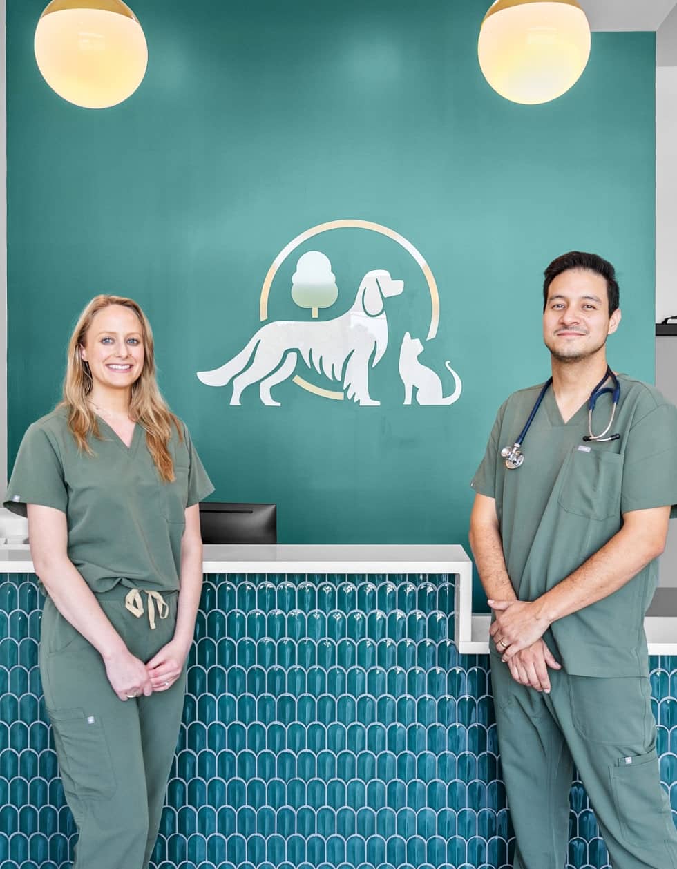 provide your pet with excellent veterinary services at Parkside Pet Hospital in Vestavia Hills AL