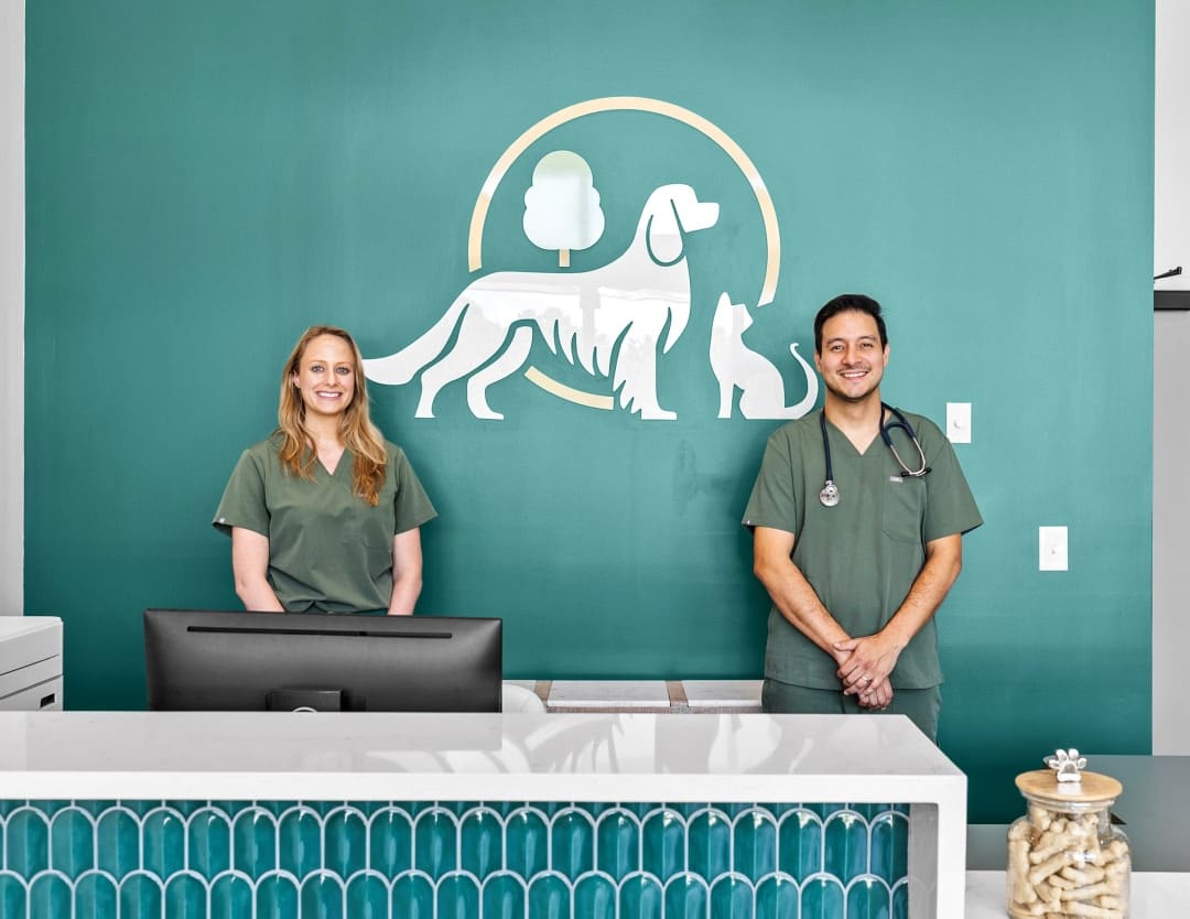 care for your puppy with excellent animal care treatments at Parkside Pet Hospital in Vestavia Hills AL